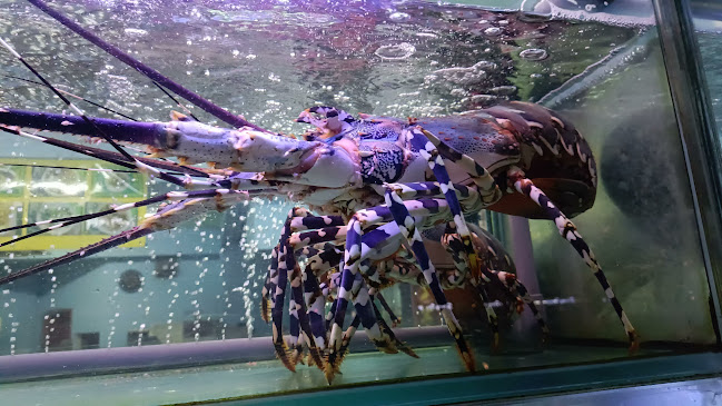 One To Six Seafood Restaurant - Gastronomi dan perhotelan