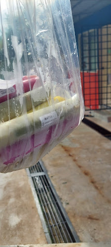 AISKRIMALAYSIA QAIYUM