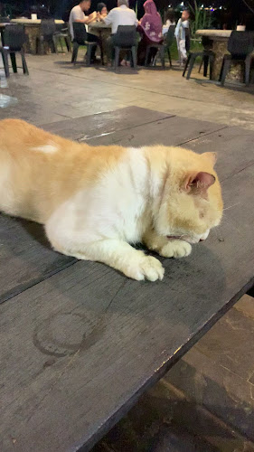 Restoran Putera Duyong