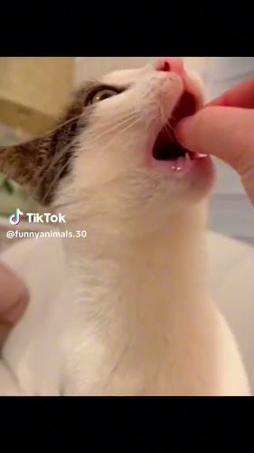 Kedai Makan Ramlah - Gastronomi dan perhotelan