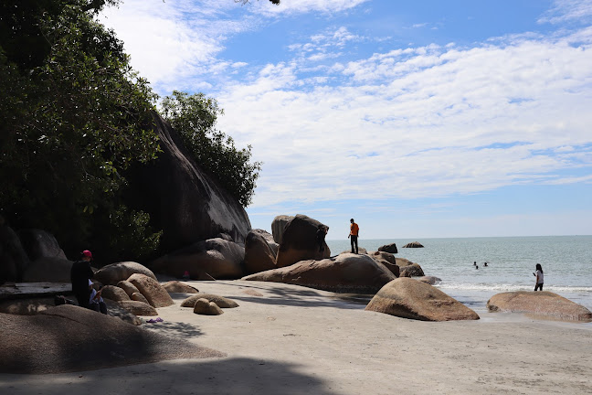 Comentarii opinii despre Coals on the Beach