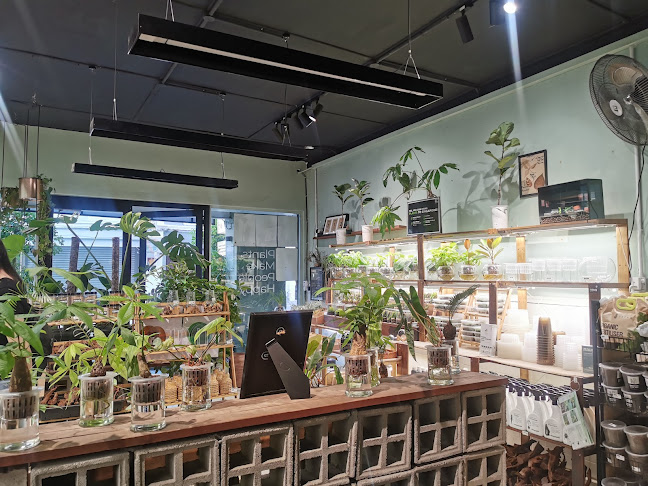 Naug Cafe (Naug Just Plants’ backyard) - Johor Bahru