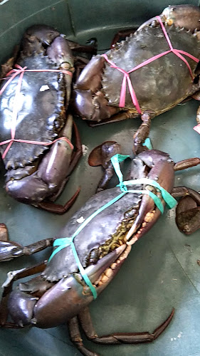 Restauran Makanan Laut Rasa Sama - Gastronomi dan perhotelan