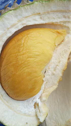 Lebuhraya Darul Aman, Kampung Lubok Peringgi, 05150 Alor Setar, Kedah