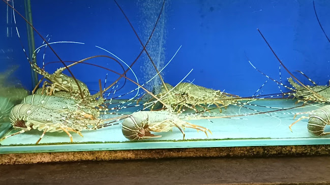 Comentarii opinii despre Oriental Seafood Restaurant