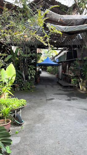 Red Mountain Sin Yoon Loong White Coffee - Ipoh