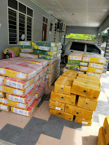 FS Fresh Frozen & Transport