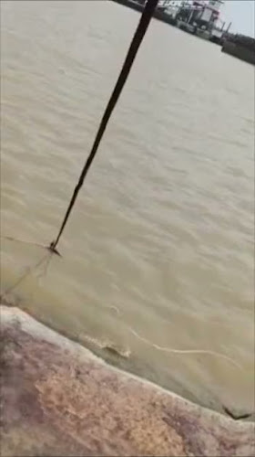 184, Jalan Tun Ahmad Zaidi, Parkcity Commerce Square, 97000 Bintulu, Sarawak