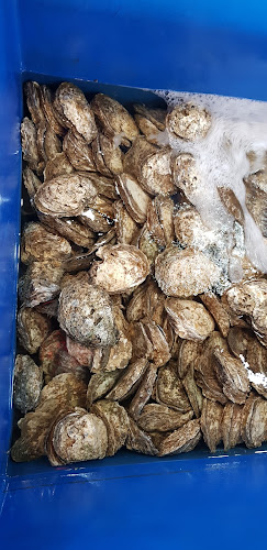 NO.1 A JALAN BAGAN SUNGAI YU PASIR PENAMBANG 45000 KUALA SEALNGOR, Pasir Penambang, 45000 Kuala Selangor, Selangor