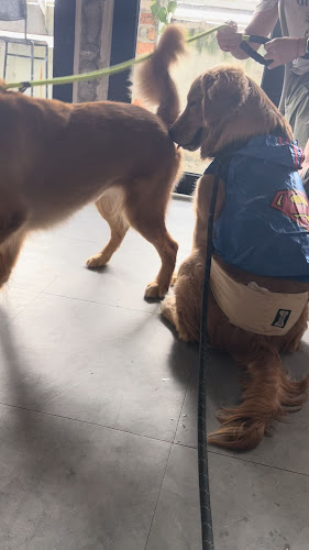 Second Floor, No. 36-2, Jalan SS2/66, SS 2, 47300 Petaling Jaya, Selangor