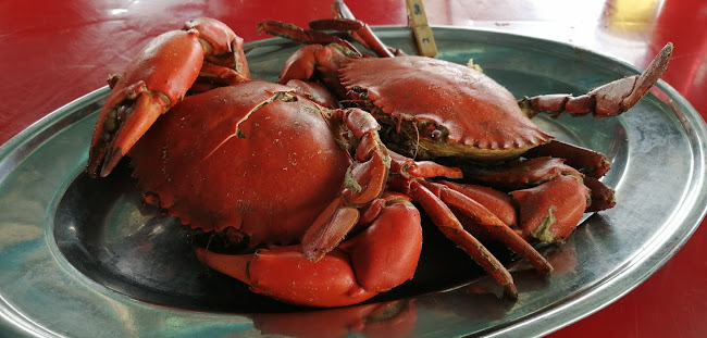 Comentarii opinii despre Restoran Makanan Laut Pasir Penambang