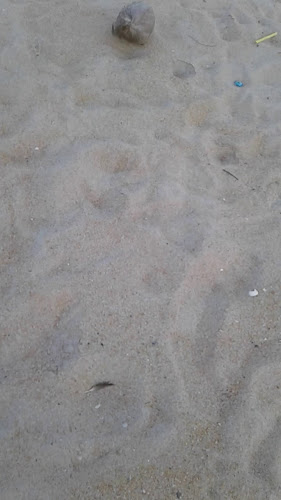 Opinii despre Padu Celup Tepung în Kuala Terengganu - Gastronomi dan perhotelan