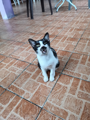 Lorong Cenderawasih 3, Semariang Baru Fasa 2, 93050 Kuching, Sarawak