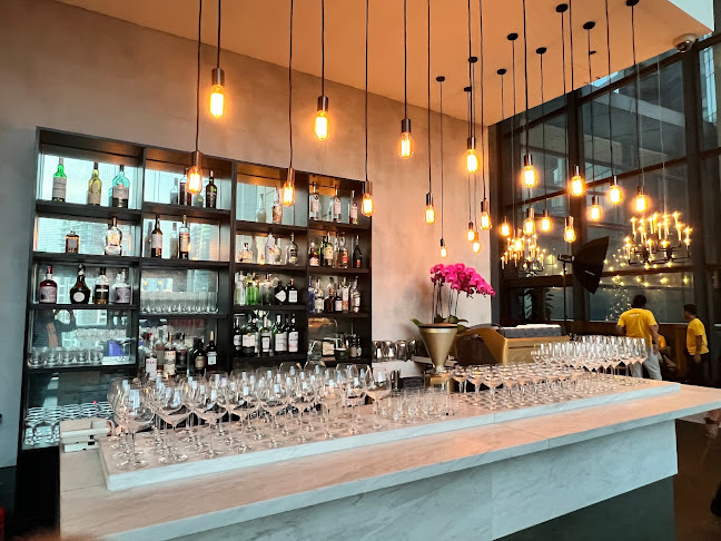 Comentarii opinii despre Fritz