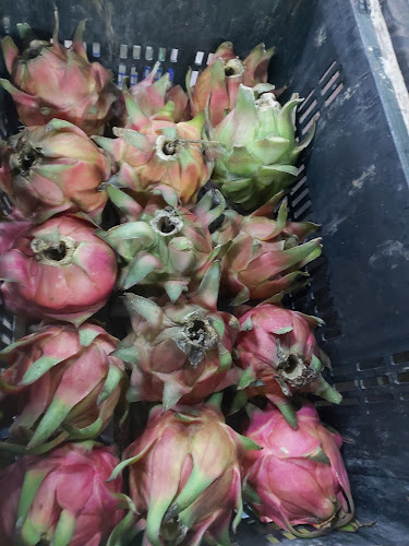 Opinii despre Gerai buahan Manja Aishah în Seremban - Gastronomi dan perhotelan