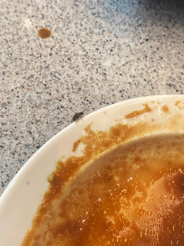 Comentarii opinii despre Genki Sushi @ Suria KLCC