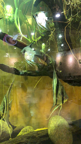 Aqua Coffee - Sandakan