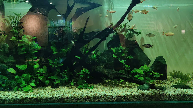 Aqua Coffee - Gastronomi dan perhotelan