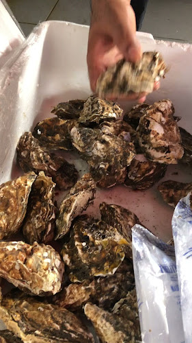 Opinii despre Cengkerang Seafood Jumble în Melaka - Gastronomi dan perhotelan