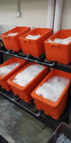 17, Jalan Seri Duyong 2, Taman Seri Duyong Seksyen 1, 75460 Melaka