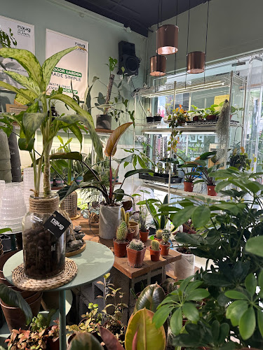 Opinii despre Naug Cafe (Naug Just Plants’ backyard) în Johor Bahru - Gastronomi dan perhotelan