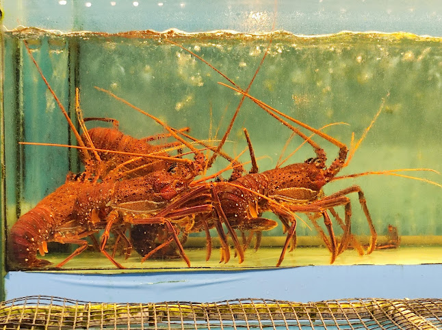 29C, Lbh Skudai, Straits View, 80200 Johor Bahru, Johor Darul Ta'zim