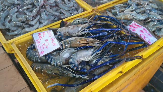 Medan Niaga Satok, Q309, Petra Jaya, 93050 Kuching, Sarawak