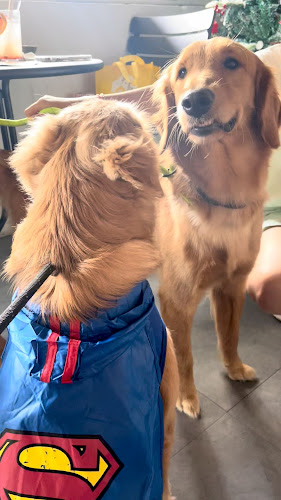 Bimba Cafe SS2 - Gastronomi dan perhotelan