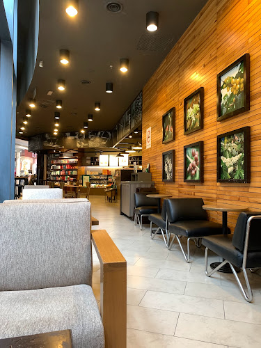 Comentarii opinii despre Starbucks