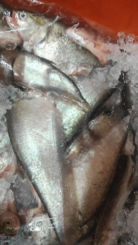 Restoran M Hafiz Tomyam Poktek - Tanjung Tualang