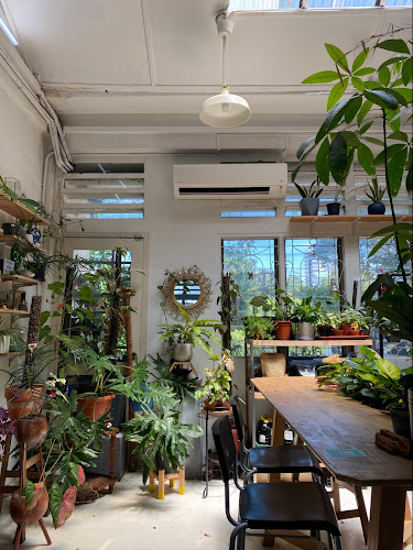 Planter Chin - Kuala Lumpur