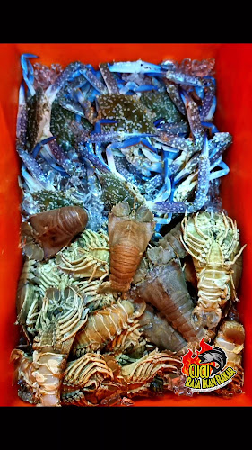 Opinii despre Cucu Raja Ikan Bakar în Besut - Gastronomi dan perhotelan