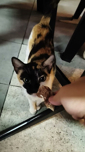 Der' Cabin Bistro Perling - Gastronomi dan perhotelan