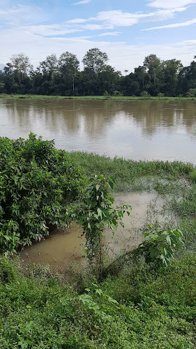 Opinii despre Mamu D’Sungei (Roti Canai) în Lenggong - Gastronomi dan perhotelan