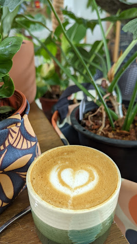 Comentarii opinii despre Planter Chin