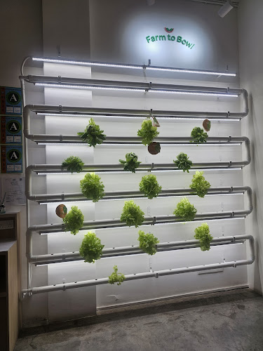 Fit My Bowl (Eco Botanic) - Iskandar Puteri