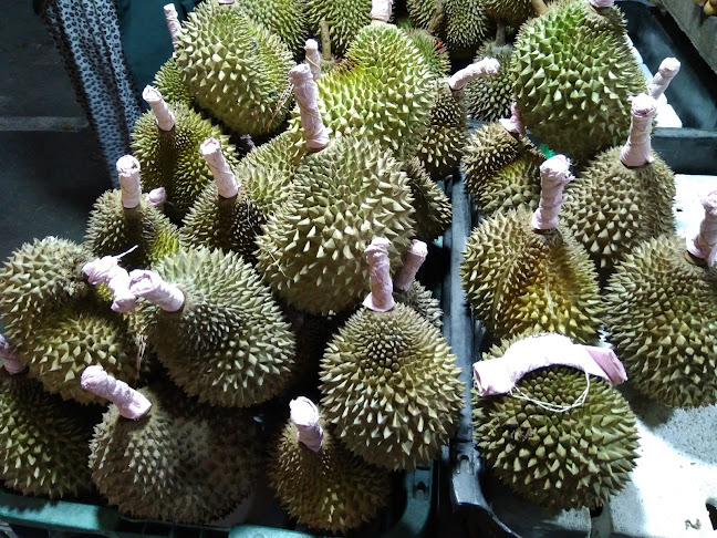 Gerai Buah-buahan @ Fruit Station