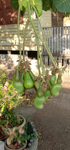 Comentarii opinii despre Warung Selera Kak Ja & Pok Lie