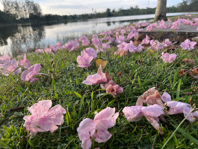Permai lake garden - Sibu