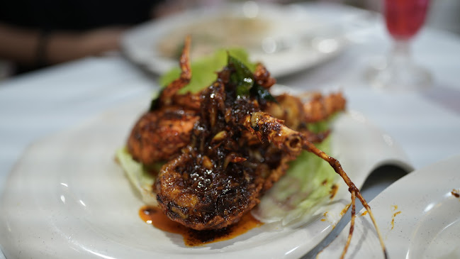 Comentarii opinii despre Dayangku