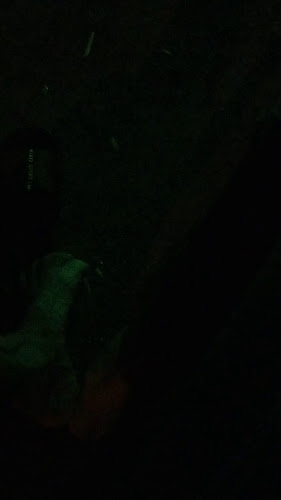 过港篮卓公阿PHAD lemak laksa - Alor Setar