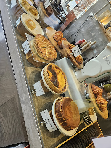 Comentarii opinii despre SWELL by Vamos