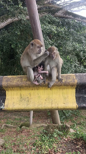 Opinii despre Secret Recipe Kuala Selangor în Kuala Selangor - Gastronomi dan perhotelan