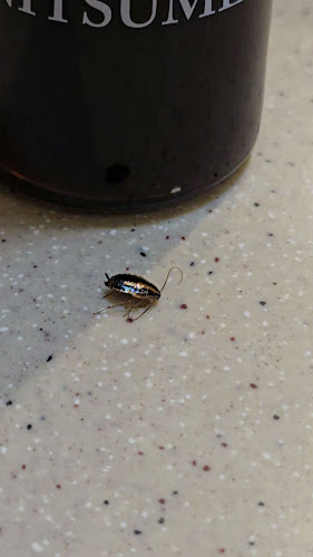 Sushi King Subang Parade - Subang Jaya