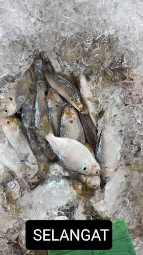 Comentarii opinii despre Ameer Fresh Mart ( PASAR MINI & PASAR SEGAR MUSLIM)