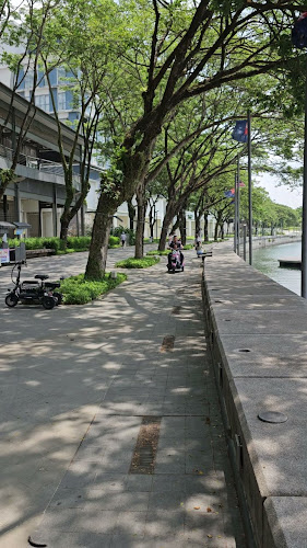 Comentarii opinii despre YCC