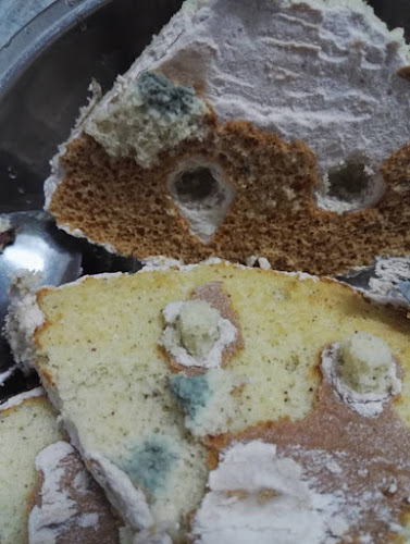 Opinii despre Fairy Hot Bread & Cake House Sdn Bhd ( Taman Petani Jaya) în Sungai Petani - Gastronomi dan perhotelan