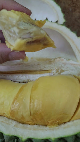 智生水果屋 Fruit Valley Cher Sen