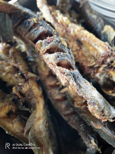 Raja Salai Kampung Sungai Kandis