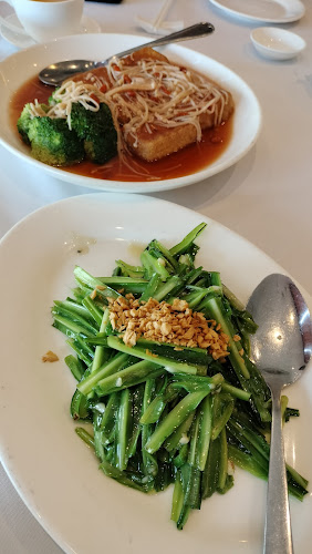 Dynasty Chinese Restaurant